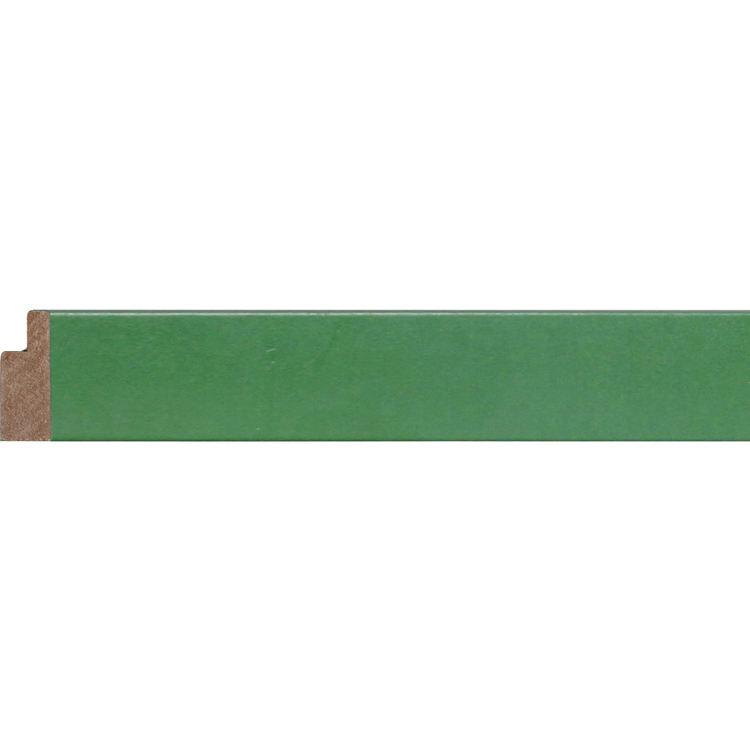 Frame MouldGWZ1202-5